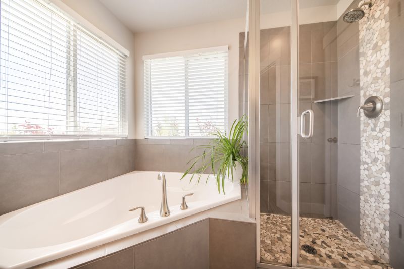 Bathroom Renovation Ideas